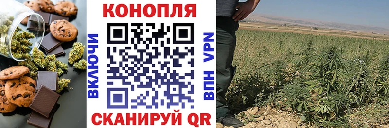 кракен вход  Фокино  Еда ТГК марихуана  где купить  