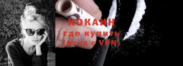 PSILOCYBIN Корсаков