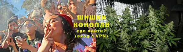 дмт Козловка